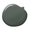 ral6009