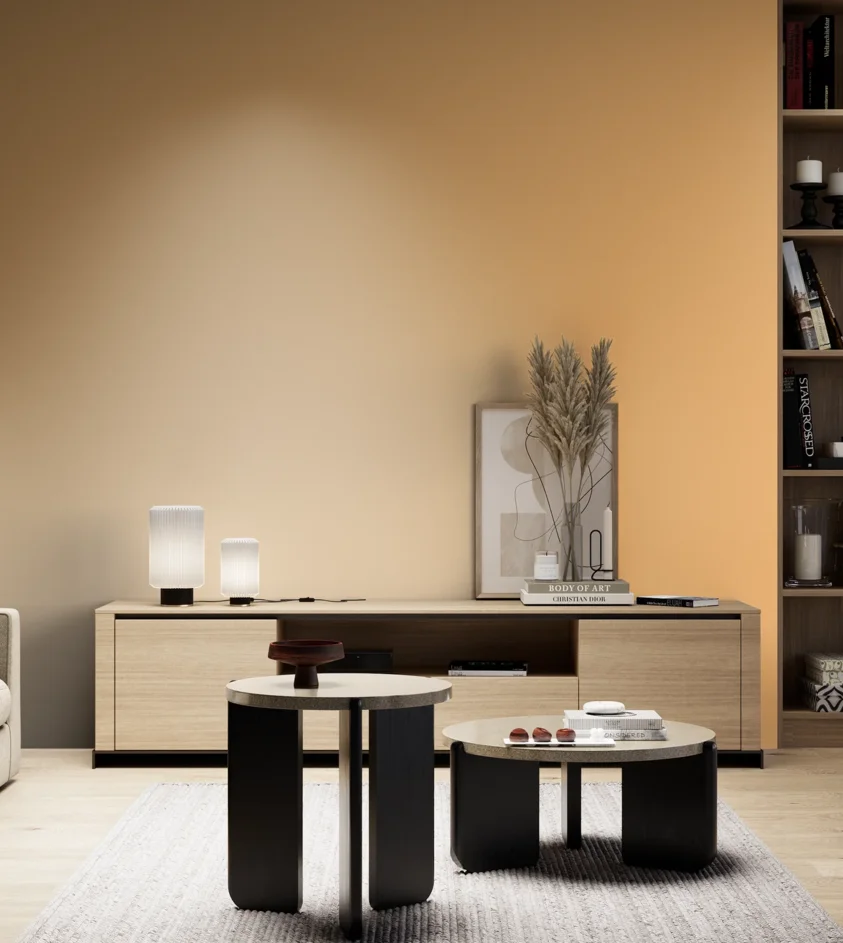 P10_SNIEZKA_salon_05_zimne_GREY_S0540-Y30R