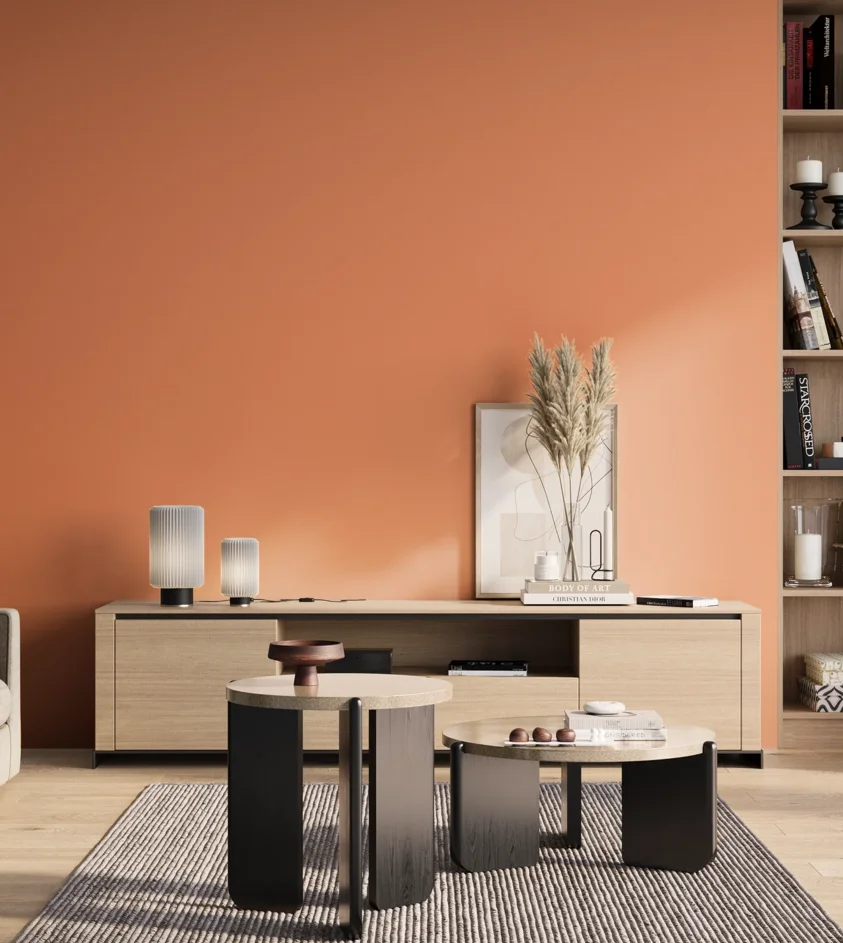P10_SNIEZKA_salon_01_poranek_GREY_S0550-Y60R