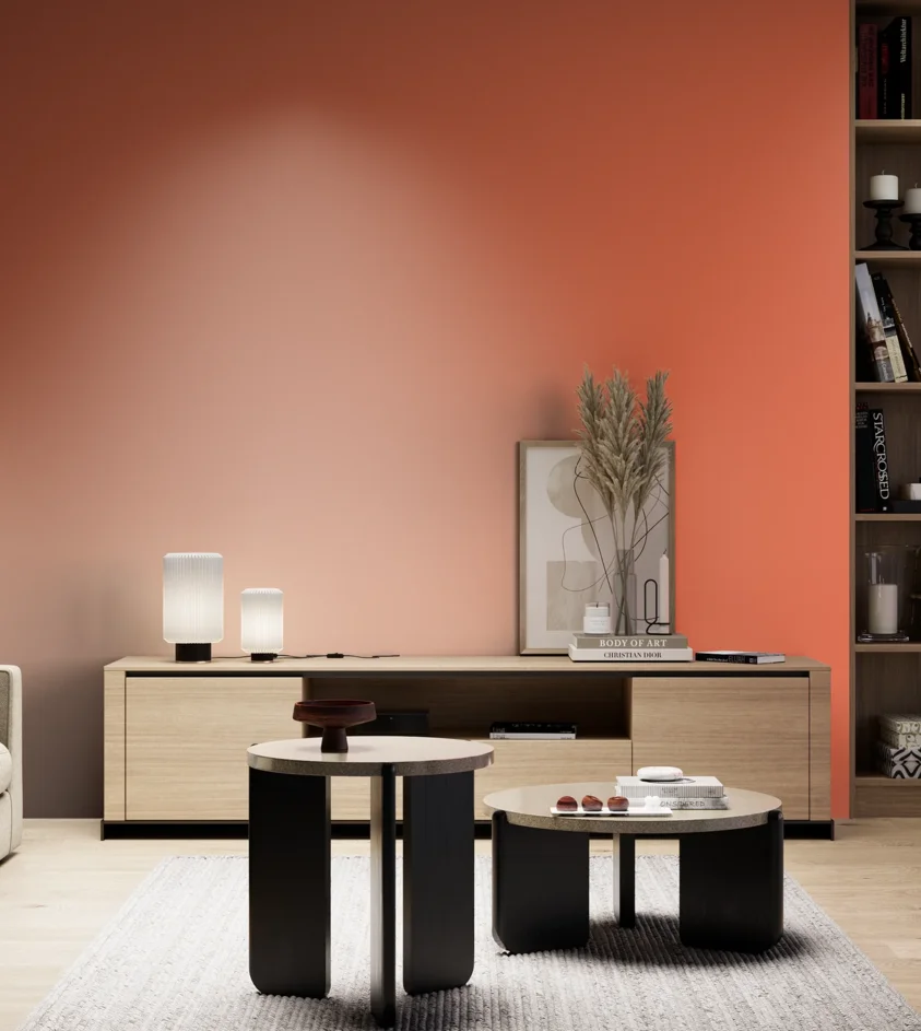 P10_SNIEZKA_salon_05_zimne_GREY_S0570-Y70R