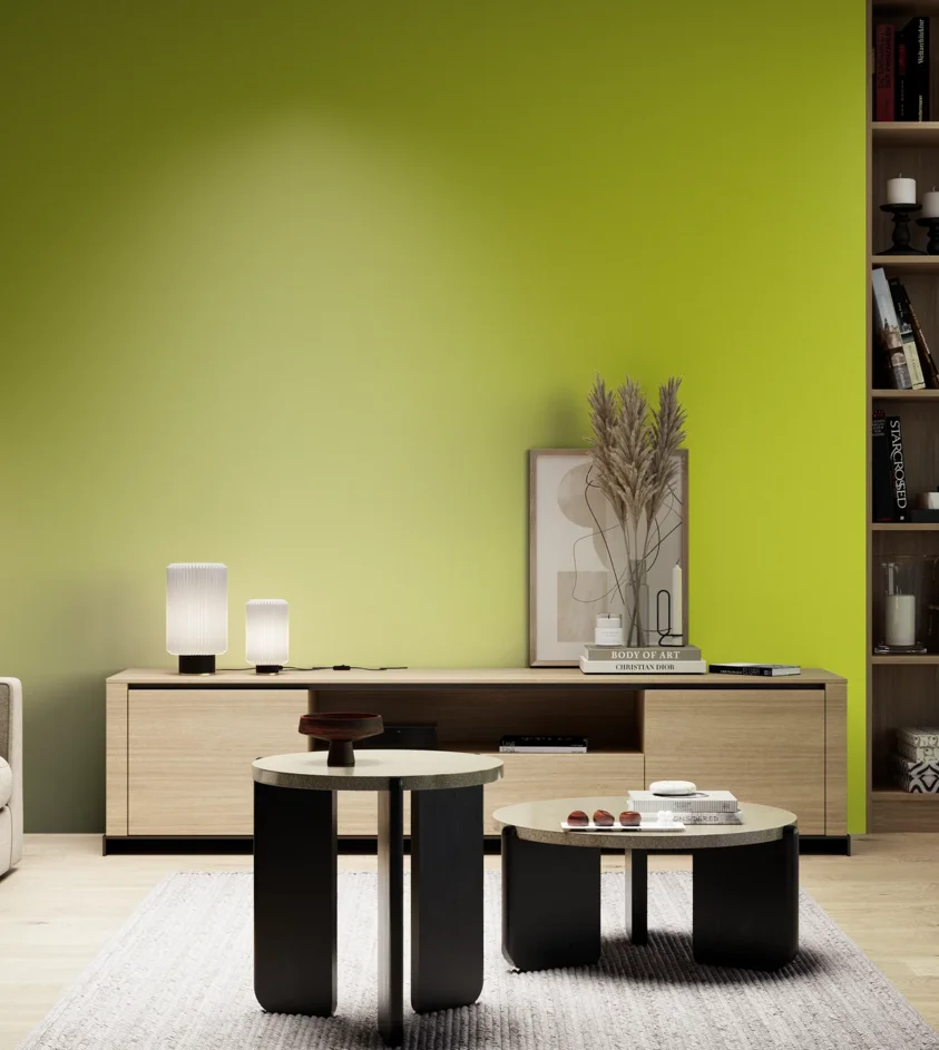 P10_SNIEZKA_salon_05_zimne_GREY_S0575-G60Y