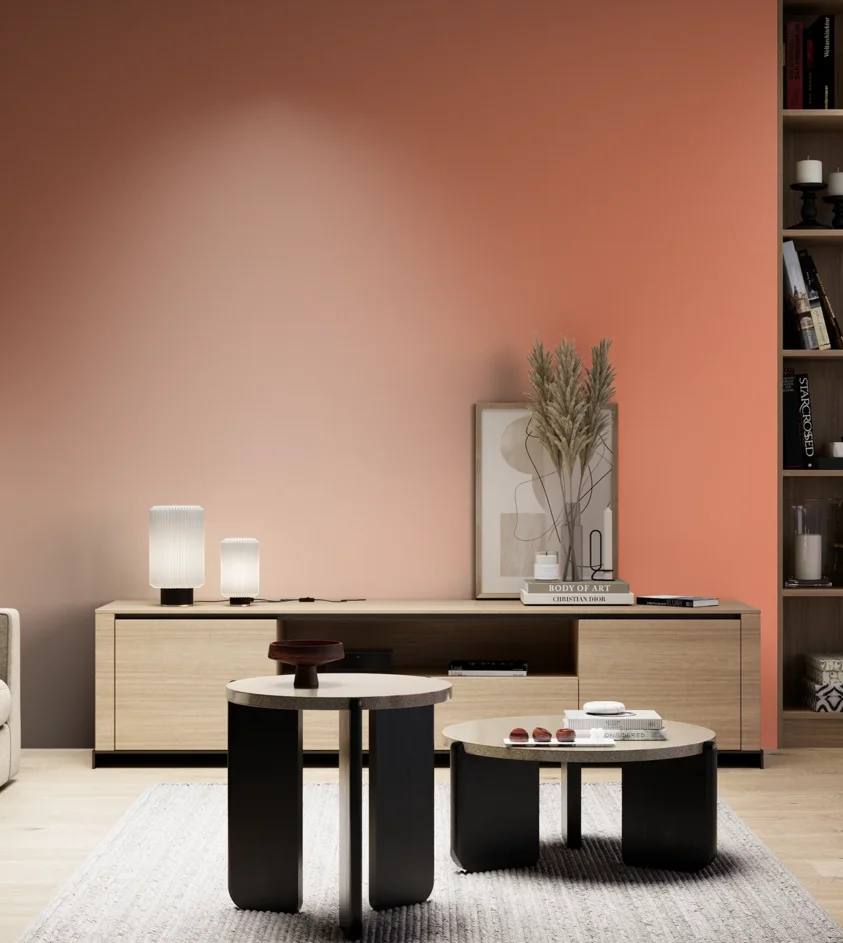 P10_SNIEZKA_salon_05_zimne_GREY_S1050-Y70R