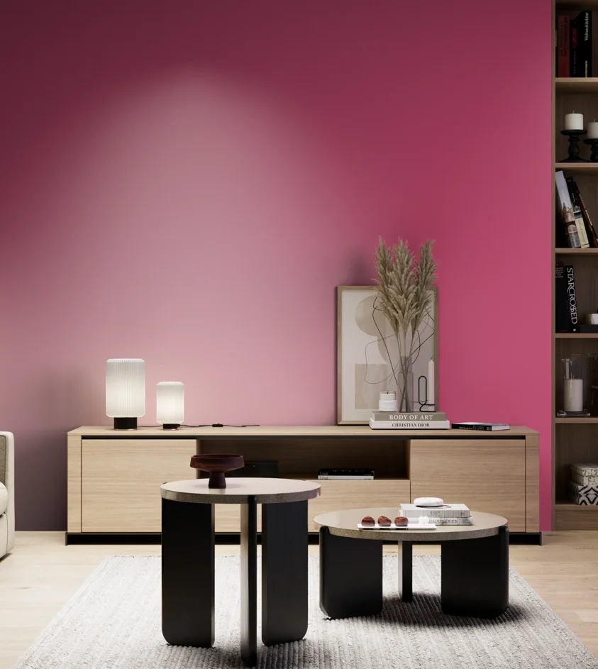 P10_SNIEZKA_salon_05_zimne_GREY_S1070-R20B