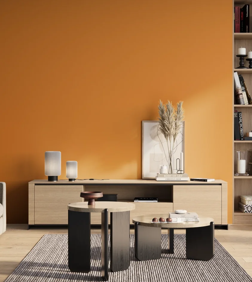 P10_SNIEZKA_salon_01_poranek_GREY_S1070-Y30R