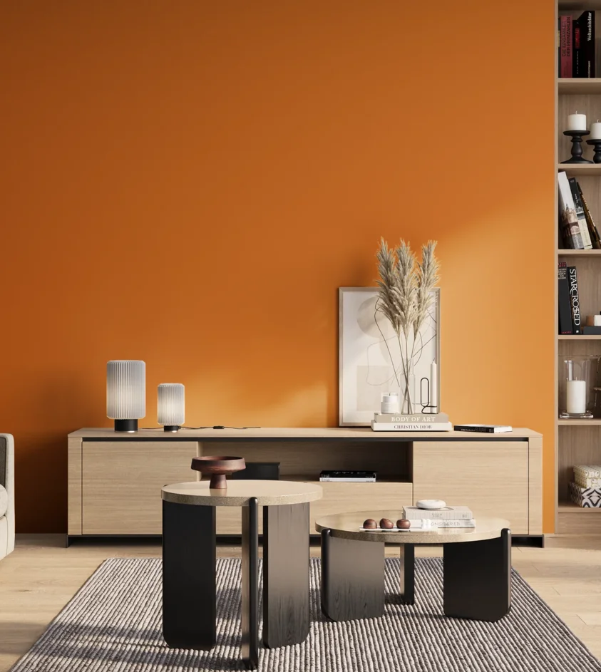 P10_SNIEZKA_salon_01_poranek_GREY_S1080-Y40R