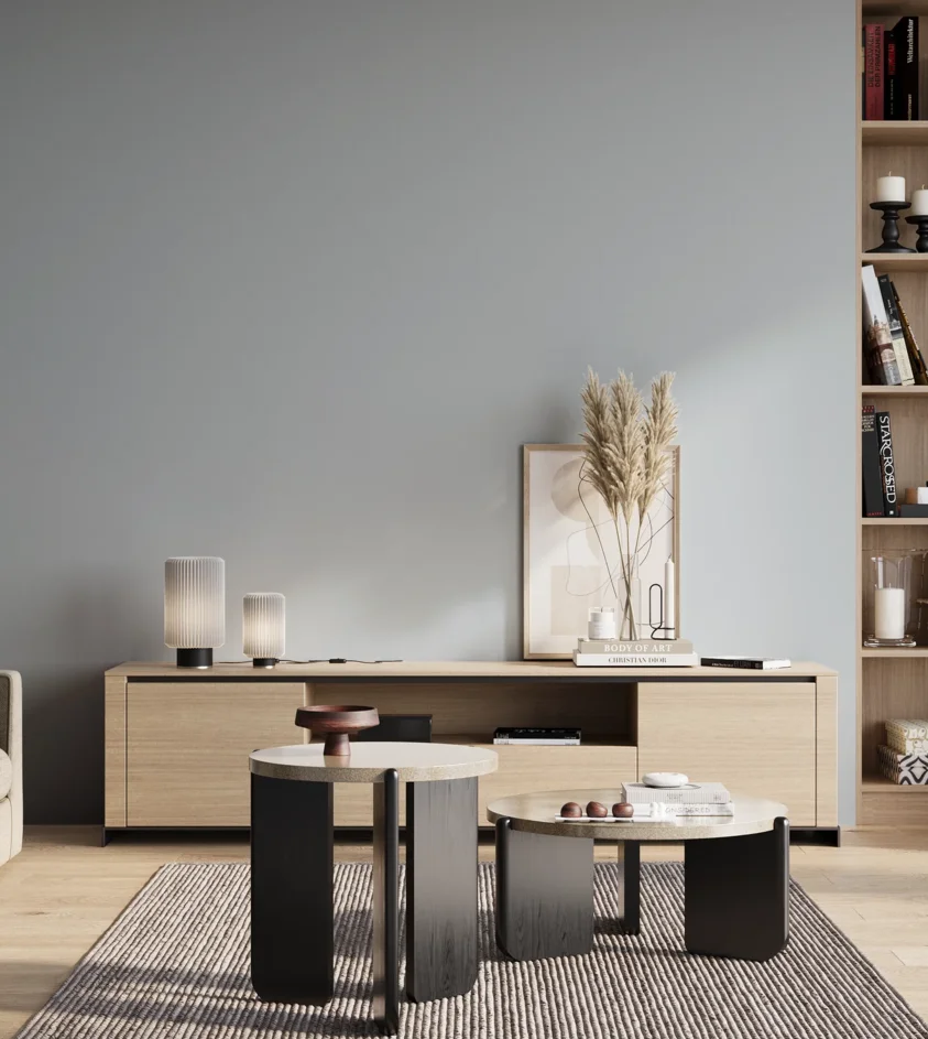 P10_SNIEZKA_salon_01_poranek_GREY_S1510-R90B