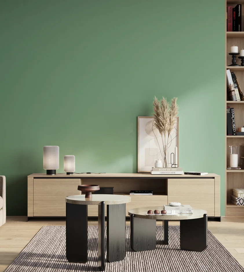P10_SNIEZKA_salon_01_poranek_GREY_S2030-G