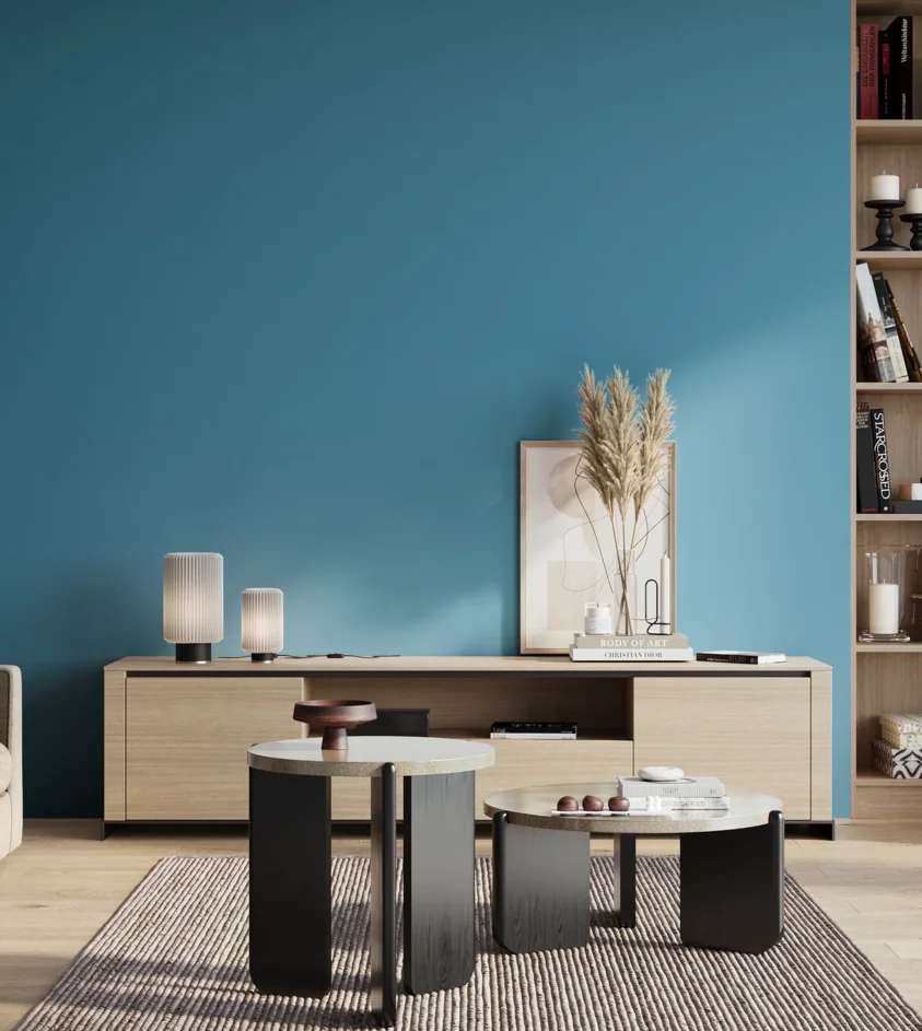 P10_SNIEZKA_salon_01_poranek_GREY_S2050-B