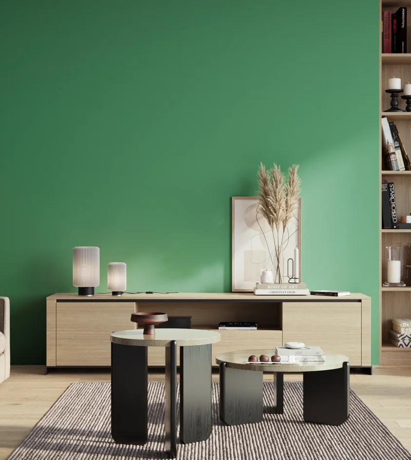 P10_SNIEZKA_salon_01_poranek_GREY_S2050-G