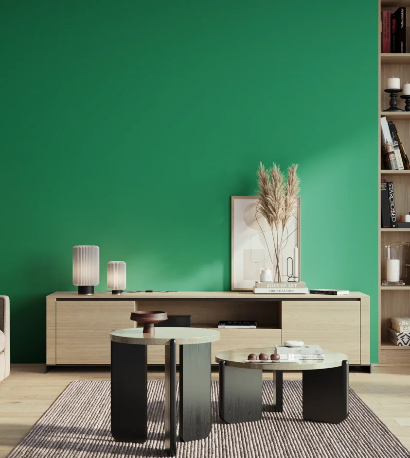 P10_SNIEZKA_salon_01_poranek_GREY_S2060-G