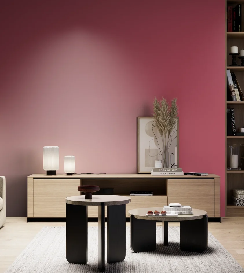 P10_SNIEZKA_salon_05_zimne_GREY_S2060-R10B