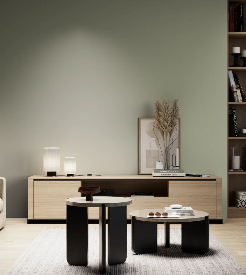 P10_SNIEZKA_salon_05_zimne_GREY_S3010-G50Y