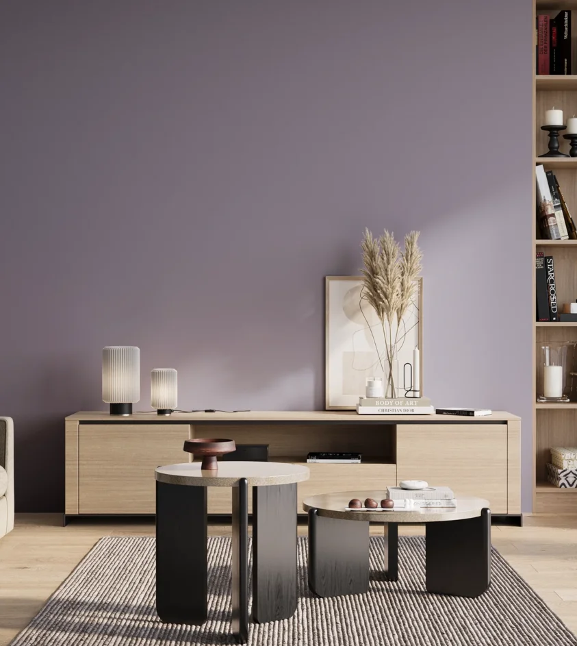 P10_SNIEZKA_salon_01_poranek_GREY_S3020-R60B