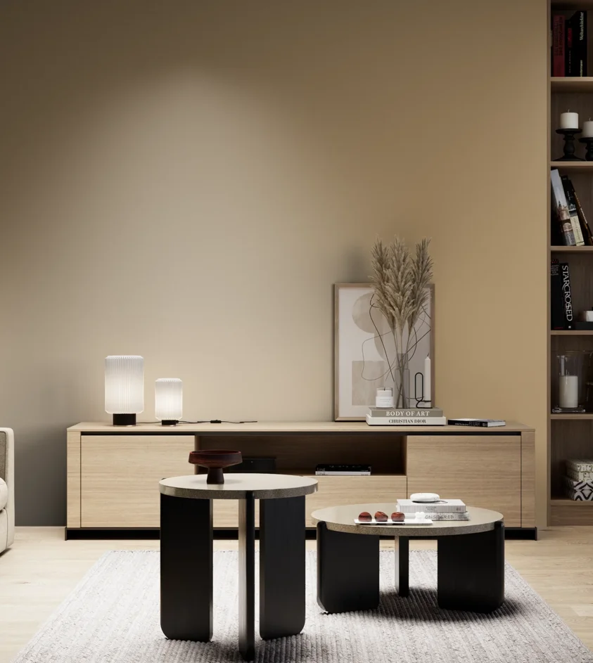 P10_SNIEZKA_salon_05_zimne_GREY_S3020-Y20R