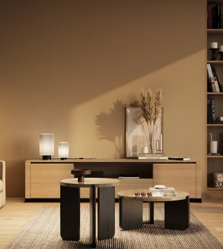 P10_SNIEZKA_salon_03_wieczor_GREY_S3020-Y40R