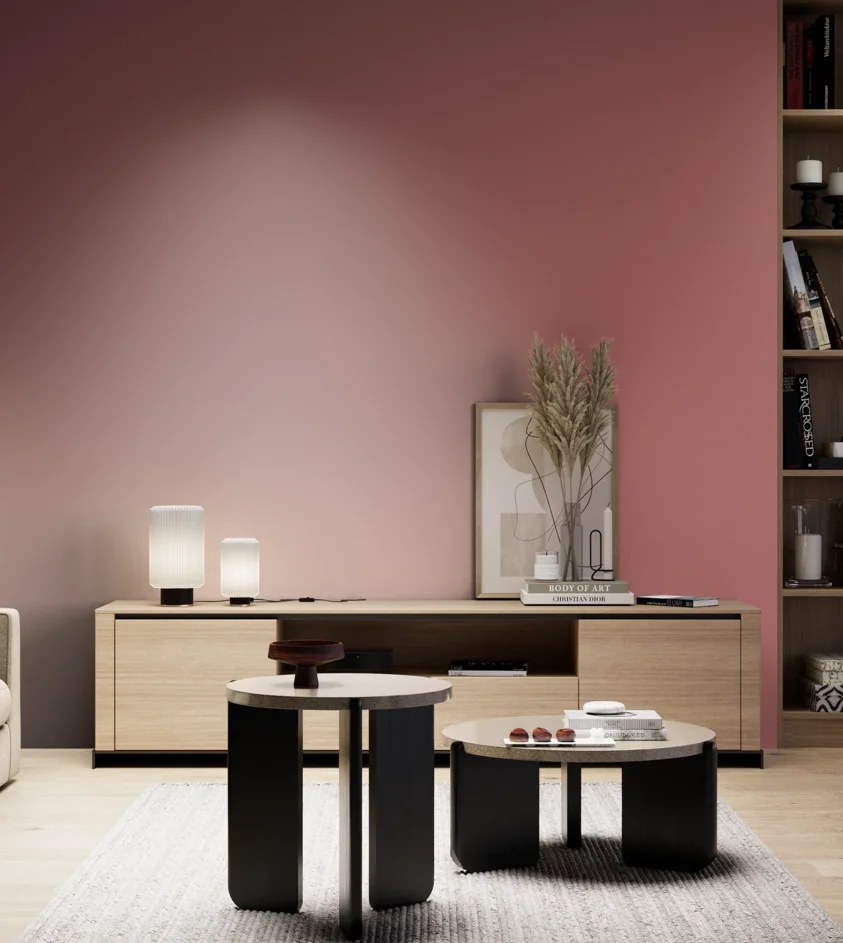 P10_SNIEZKA_salon_05_zimne_GREY_S3040-R