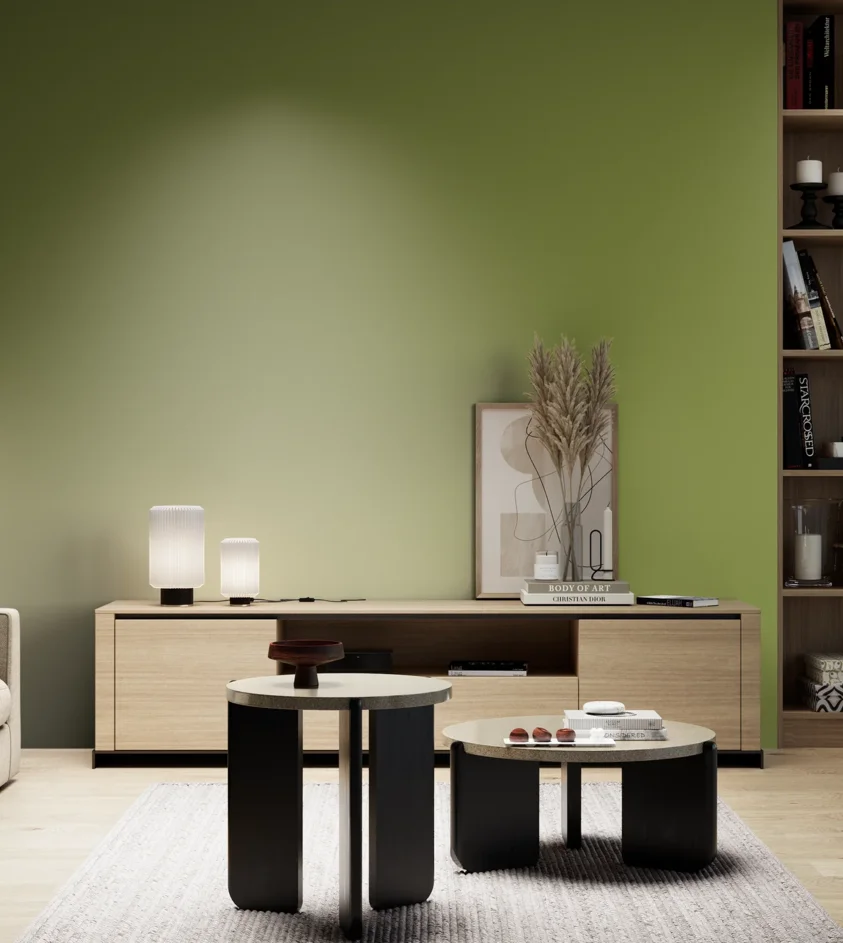 P10_SNIEZKA_salon_05_zimne_GREY_S3050-G50Y