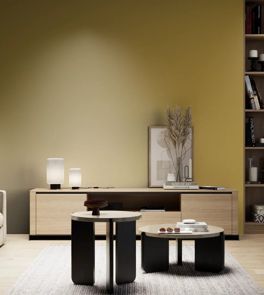 P10_SNIEZKA_salon_05_zimne_GREY_S3050-Y