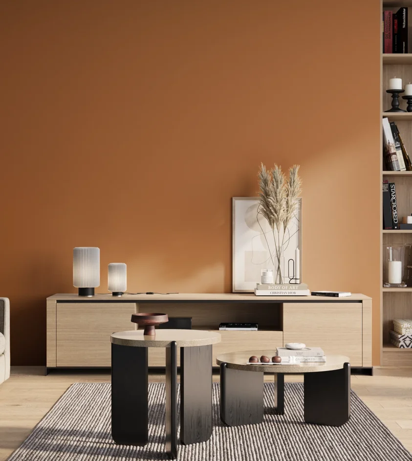 P10_SNIEZKA_salon_01_poranek_GREY_S3050-Y40R