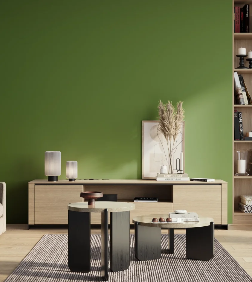 P10_SNIEZKA_salon_01_poranek_GREY_S3060-G30Y