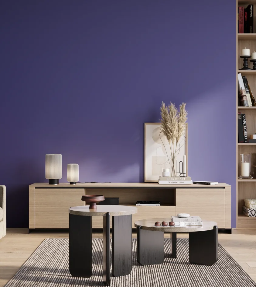 P10_SNIEZKA_salon_01_poranek_GREY_S3060-R70B