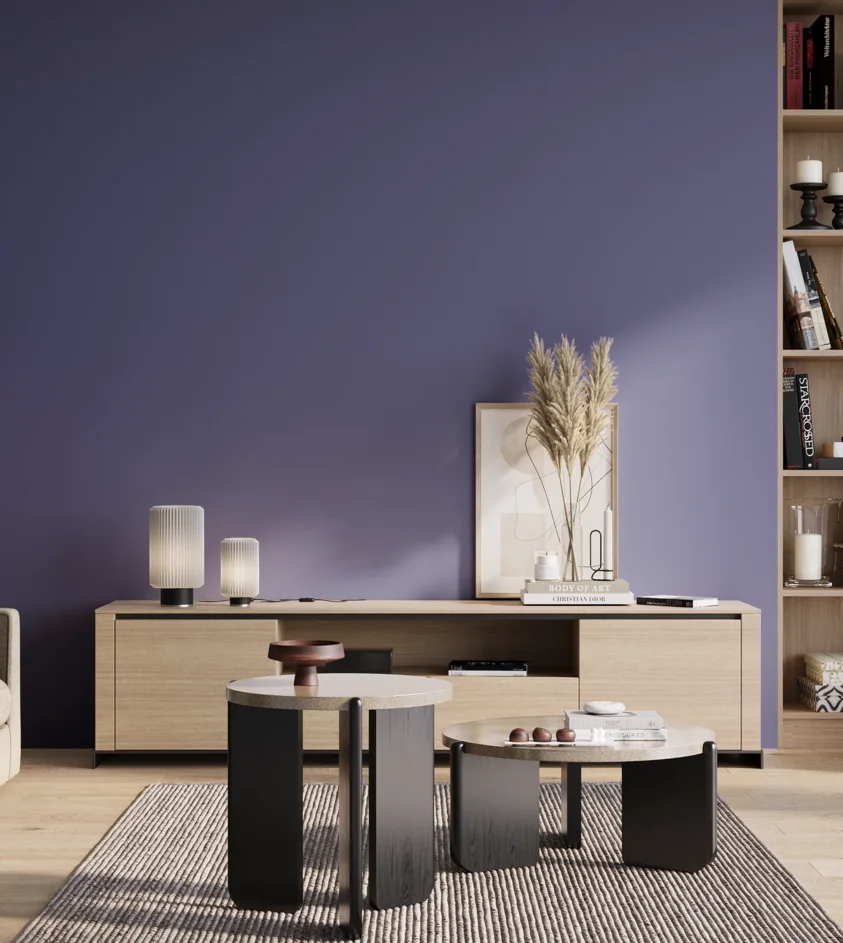 P10_SNIEZKA_salon_01_poranek_GREY_S4040-R70B