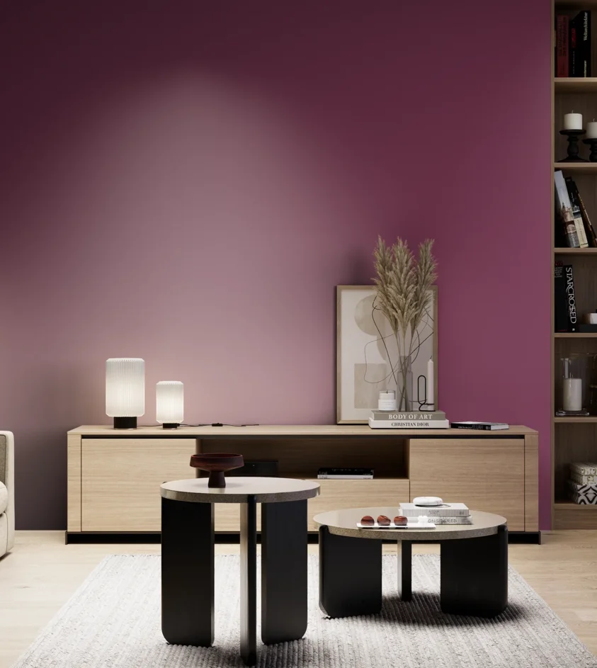 P10_SNIEZKA_salon_05_zimne_GREY_S4050-R30B