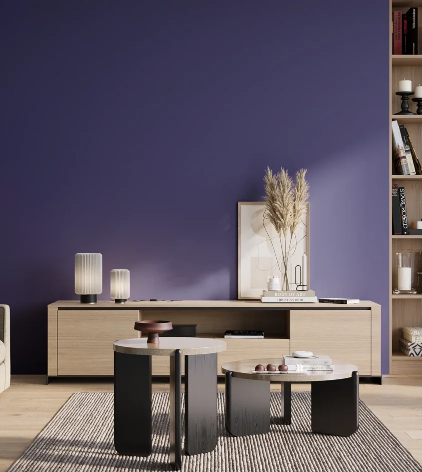 P10_SNIEZKA_salon_01_poranek_GREY_S4055-R70B