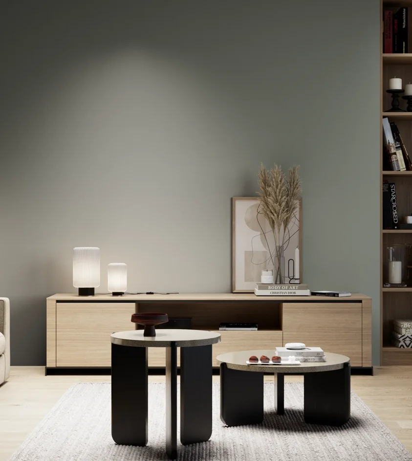 P10_SNIEZKA_salon_05_zimne_GREY_S5005-G20Y