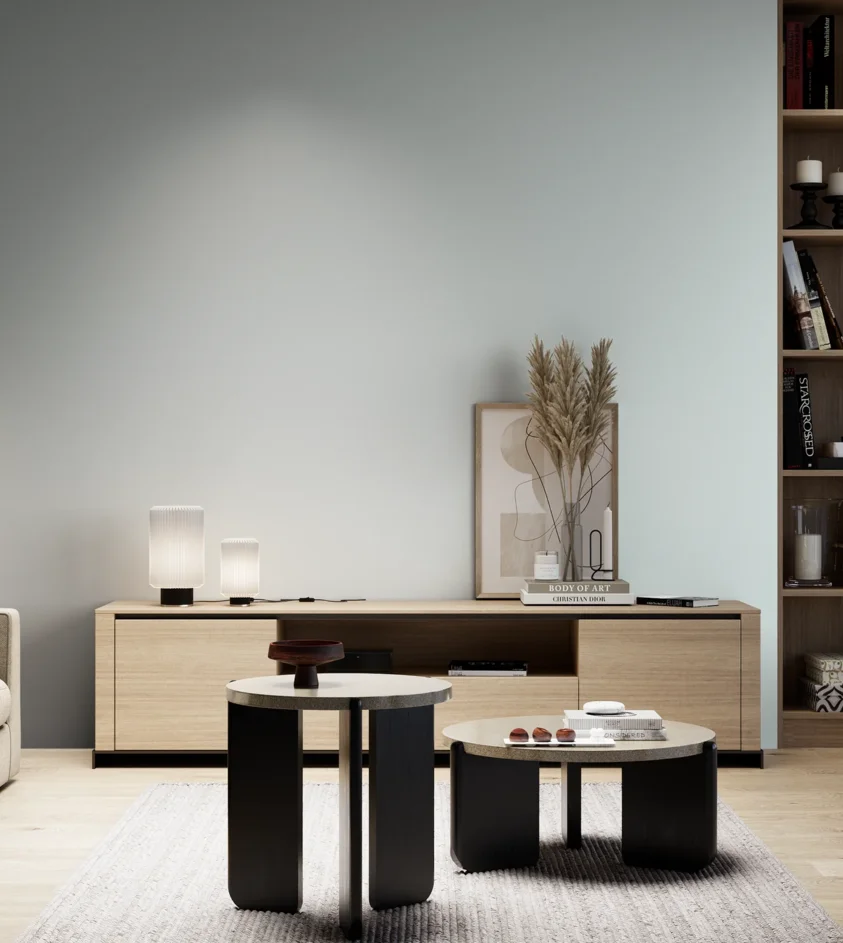 P10_SNIEZKA_salon_05_zimne_GREY_S0505-B20G