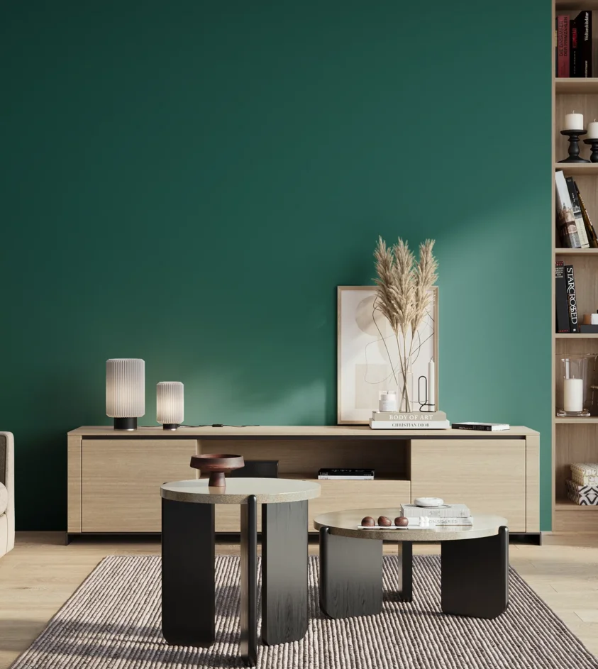 P10_SNIEZKA_salon_01_poranek_GREY_S5040-B60G