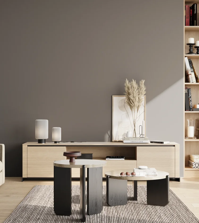 P10_SNIEZKA_salon_02_poludnie_GREY_S6000-N