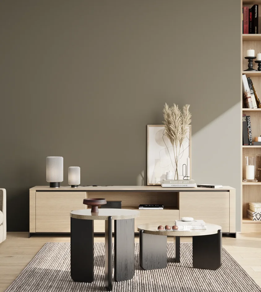 P10_SNIEZKA_salon_02_poludnie_GREY_S6005-G80Y