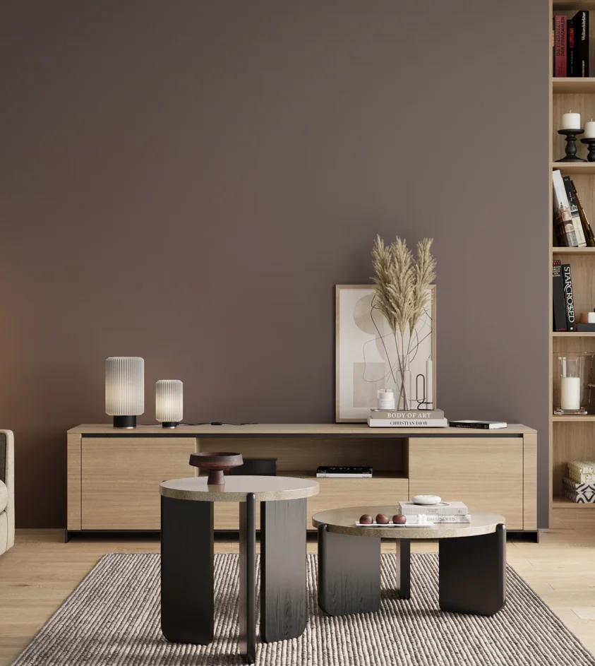 P10_SNIEZKA_salon_00_neutral_GREY_S6005-R20B