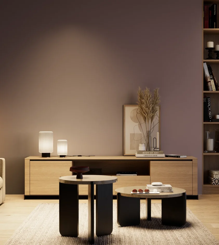 P10_SNIEZKA_salon_04_cieple_GREY_S6010-R30B