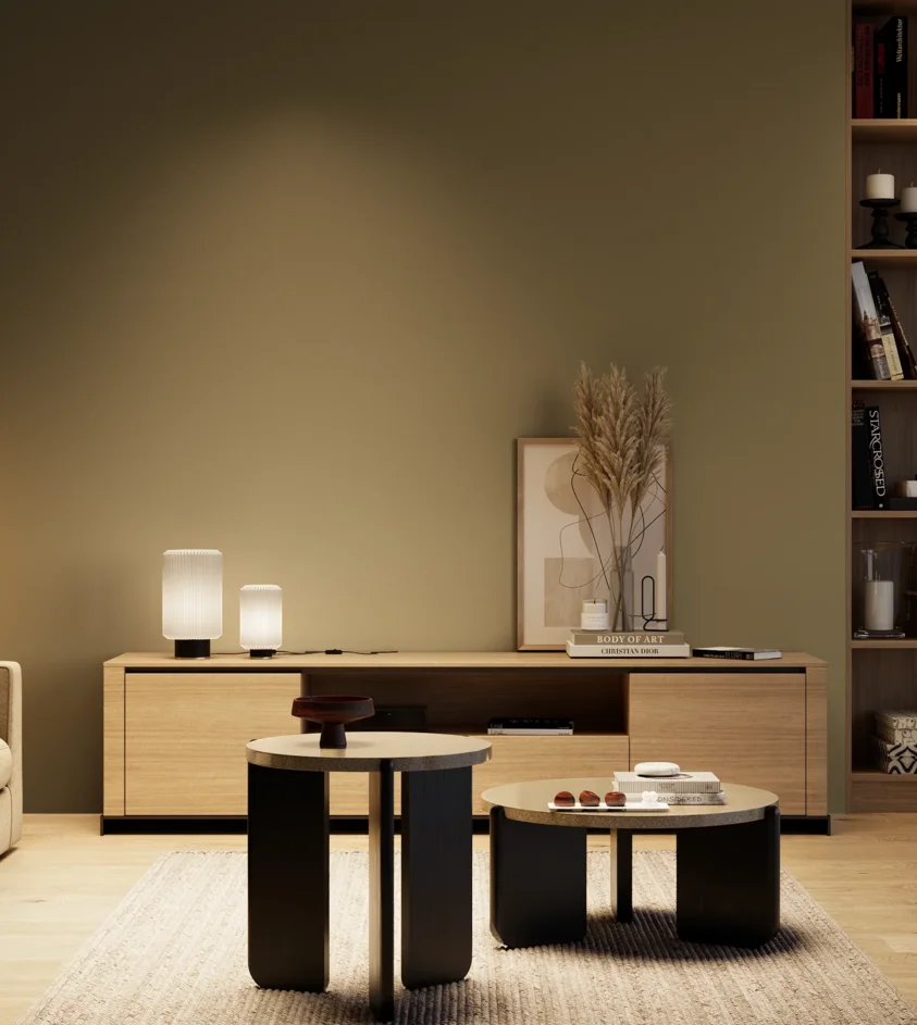 P10_SNIEZKA_salon_04_cieple_GREY_S6020-G90Y