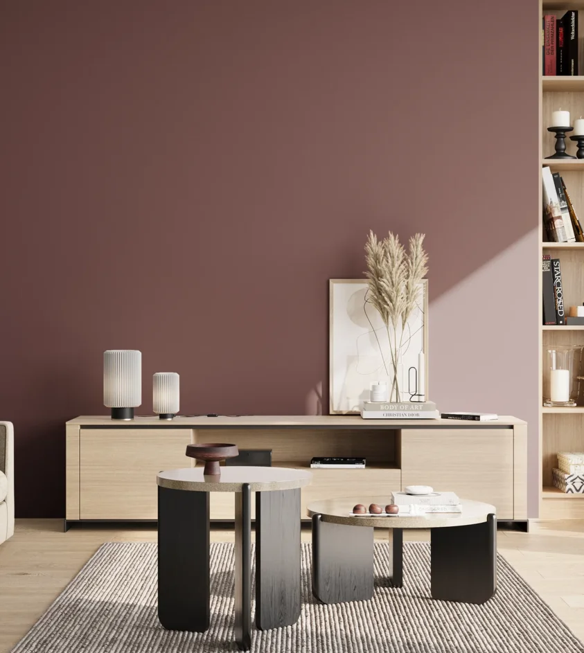 P10_SNIEZKA_salon_02_poludnie_GREY_S6020-R10B