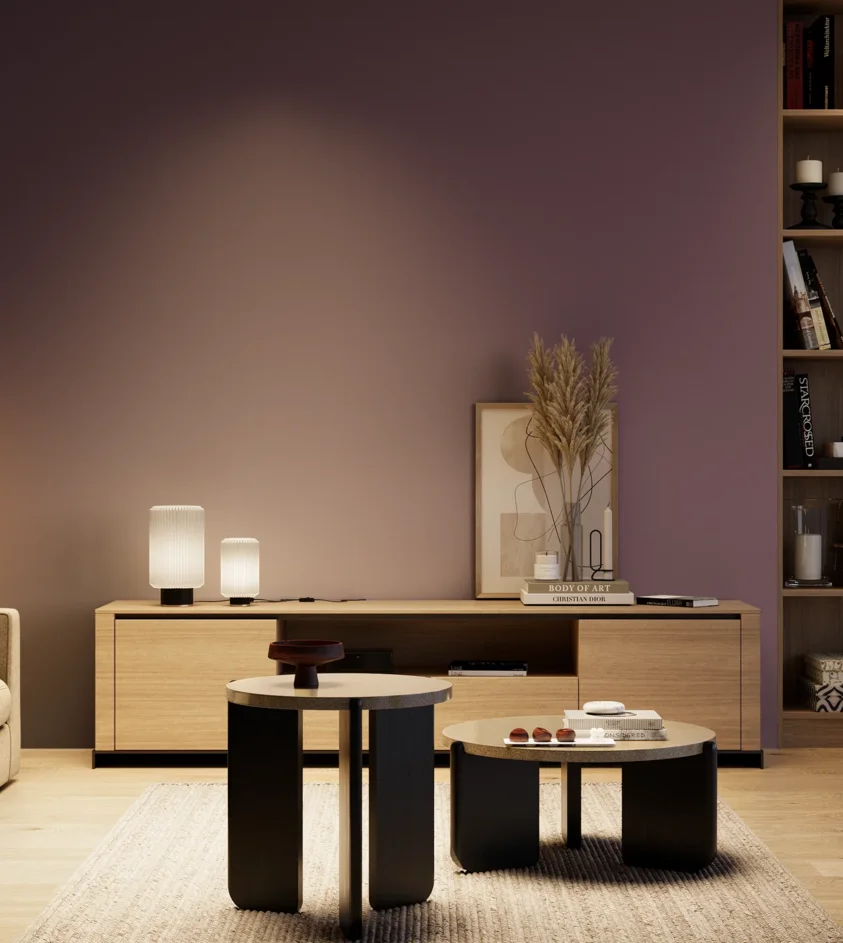 P10_SNIEZKA_salon_04_cieple_GREY_S6020-R40B