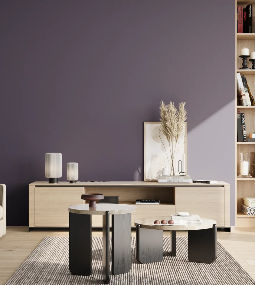 P10_SNIEZKA_salon_02_poludnie_GREY_S6020-R60B