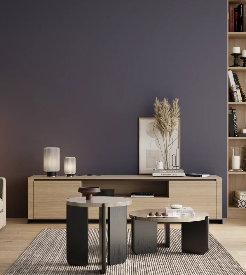 P10_SNIEZKA_salon_00_neutral_GREY_S6020-R70B