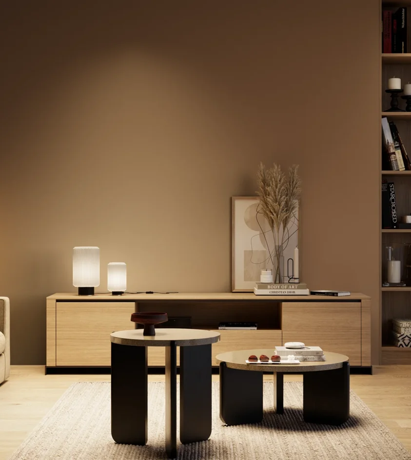 P10_SNIEZKA_salon_04_cieple_GREY_S6020-Y40R