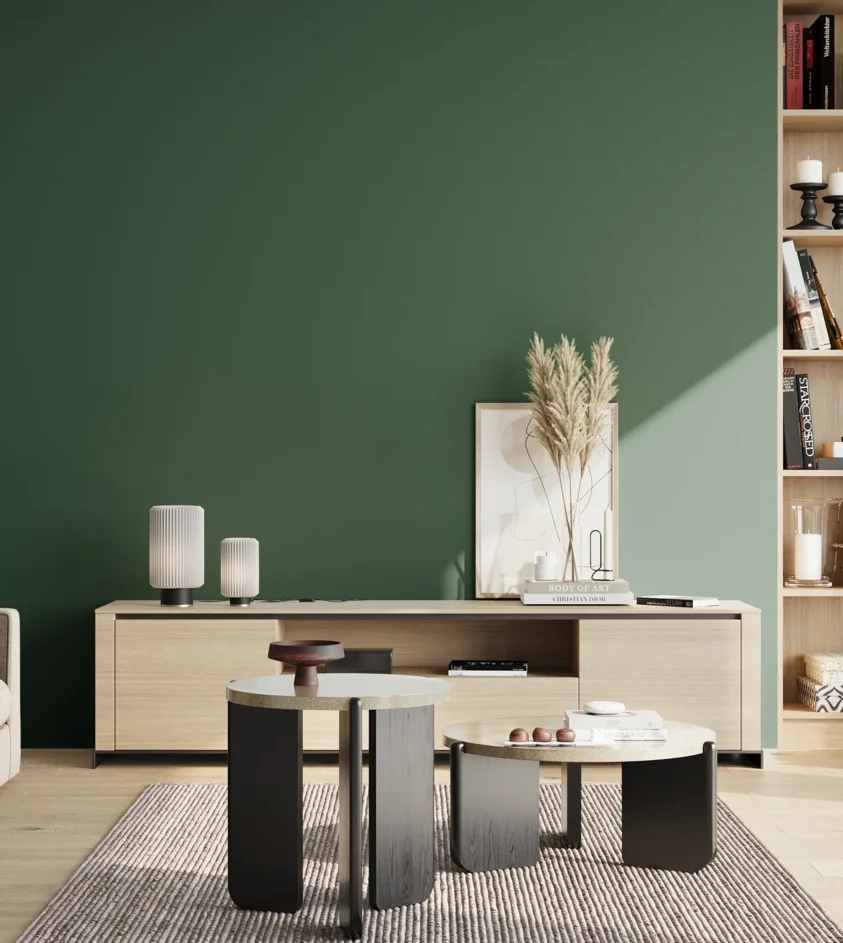 P10_SNIEZKA_salon_02_poludnie_GREY_S6030-G