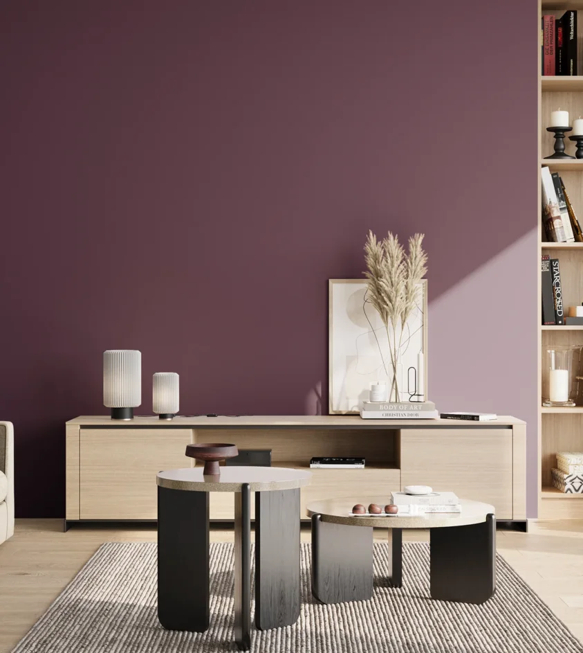 P10_SNIEZKA_salon_02_poludnie_GREY_S6030-R40B