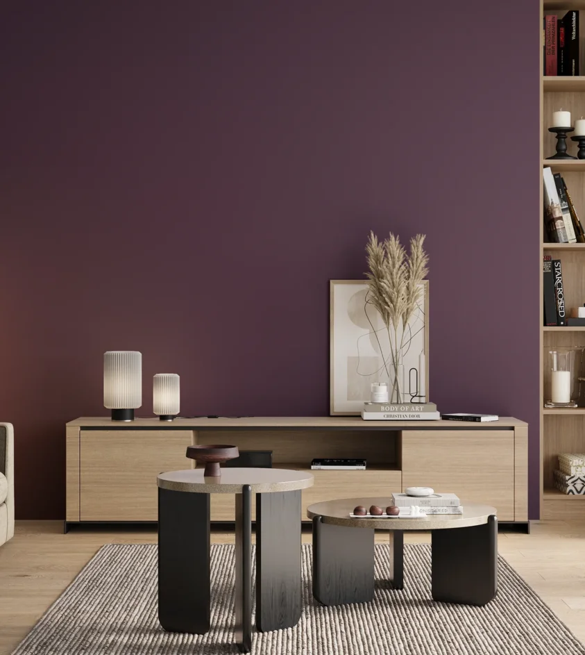 P10_SNIEZKA_salon_00_neutral_GREY_S6030-R50B