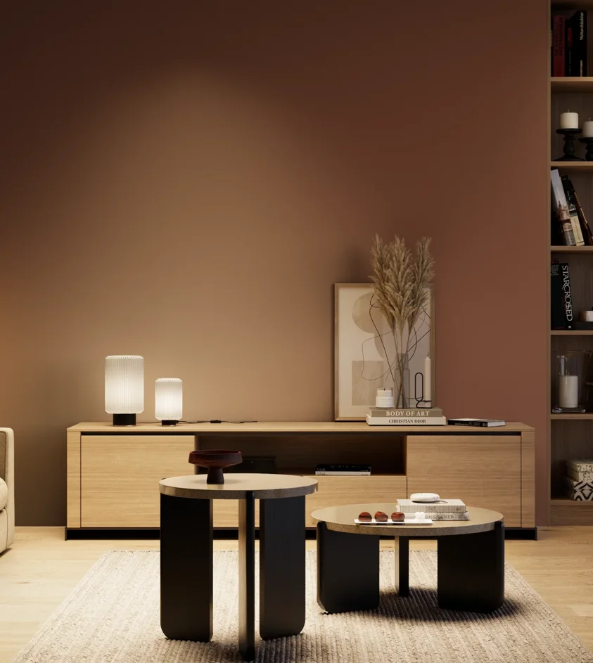 P10_SNIEZKA_salon_04_cieple_GREY_S6030-Y70R