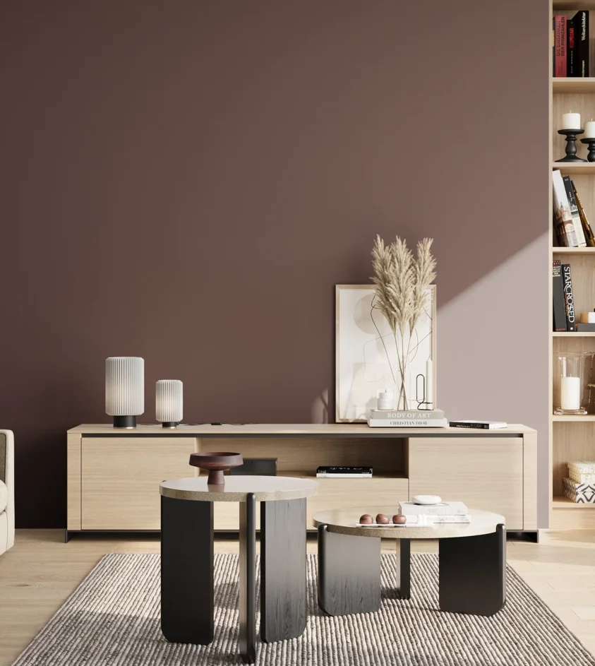 P10_SNIEZKA_salon_02_poludnie_GREY_S7010-R10B