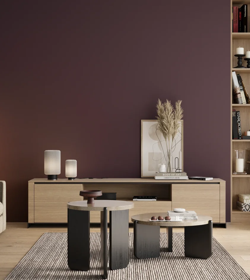 P10_SNIEZKA_salon_00_neutral_GREY_S7020-R40B