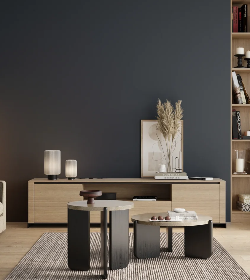 P10_SNIEZKA_salon_00_neutral_GREY_S7020-R90B