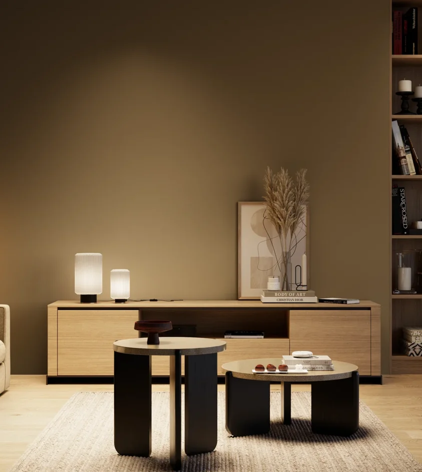 P10_SNIEZKA_salon_04_cieple_GREY_S7020-Y10R