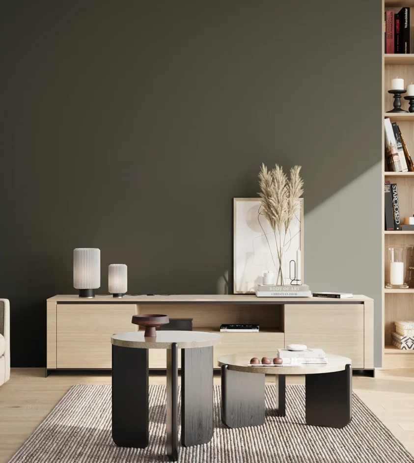 P10_SNIEZKA_salon_02_poludnie_GREY_S8505-G20Y